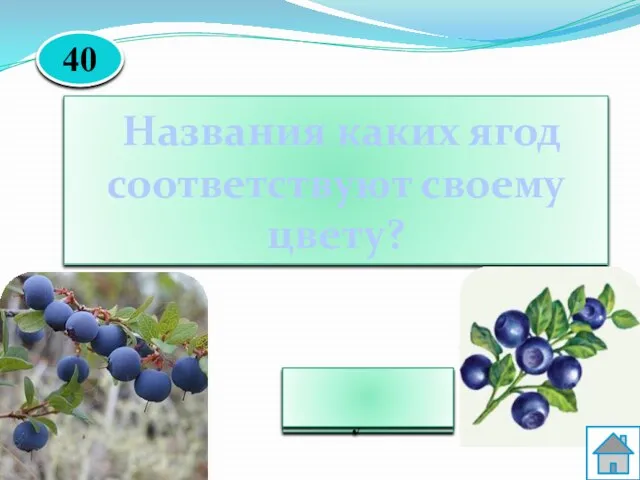 Черника , голубика Названия каких ягод соответствуют своему цвету? 40