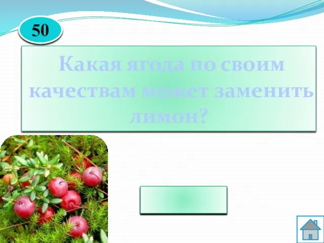 Клюква Какая ягода по своим качествам может заменить лимон? 50