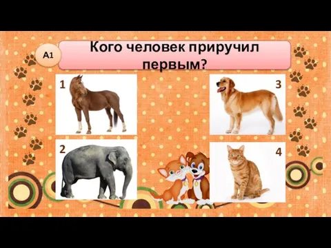 Кого человек приручил первым? А1