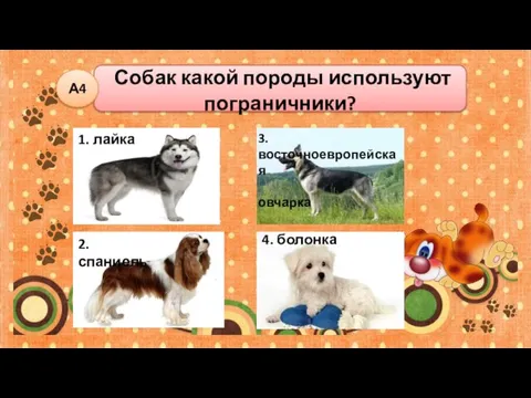 Собак какой породы используют пограничники? А4