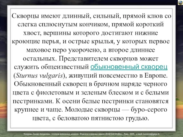 Скворцы имеют длинный, сильный, прямой клюв со слегка сплюснутым кончиком, прямой короткий