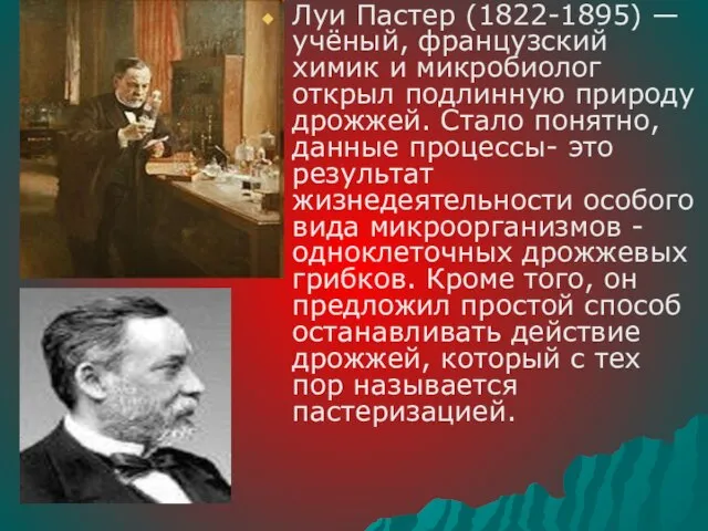 Луи Пастер (1822-1895) — учёный, французский химик и микробиолог открыл подлинную природу