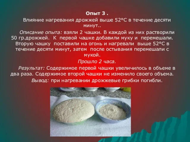 Опыт 3 . Влияние нагревания дрожжей выше 52°C в течение десяти минут..