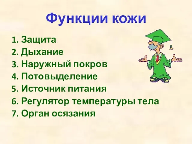 Функции кожи 1. Защита 2. Дыхание 3. Наружный покров 4. Потовыделение 5.