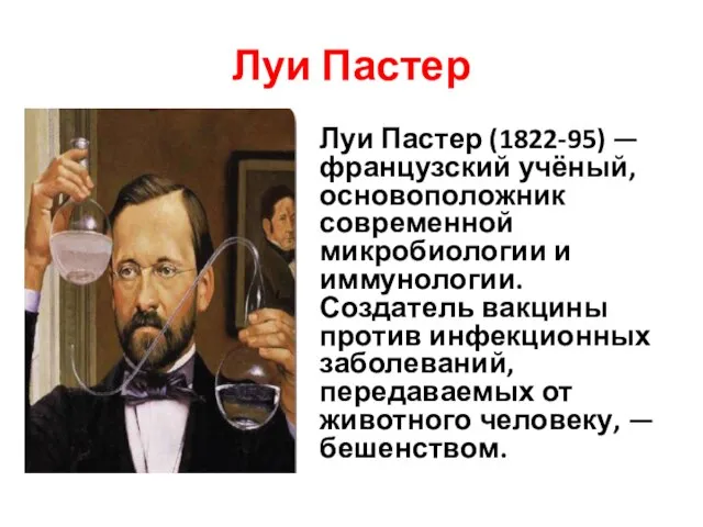 Луи Пастер Луи Пастер (1822-95) — французский учёный, основоположник современной микробиологии и