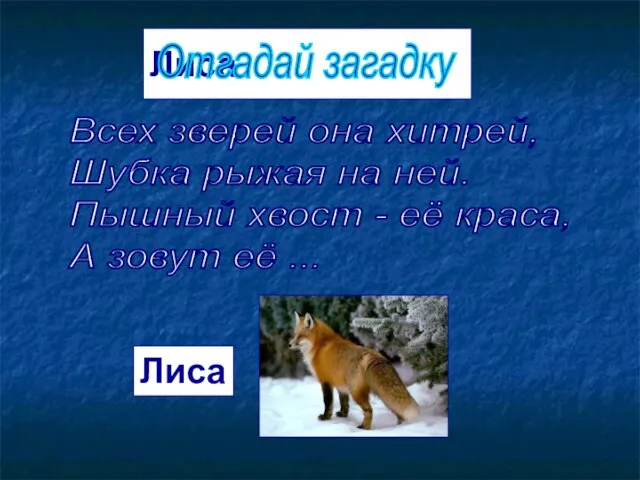 Лиса Отгадай загадку Всех зверей она хитрей, Шубка рыжая на ней. Пышный