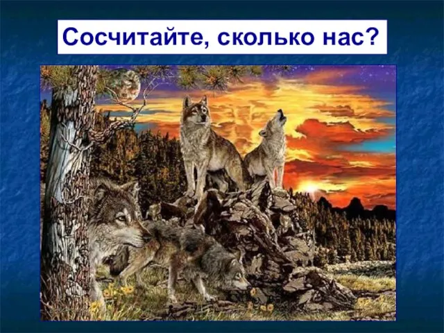 Сосчитайте, сколько нас?