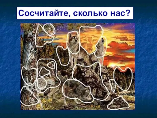 Сосчитайте, сколько нас?