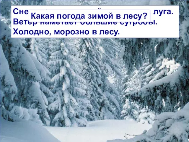 Снег укрывает зимой леса, поля, луга. Ветер наметает большие сугробы. Холодно, морозно