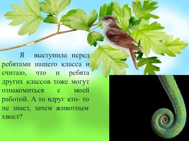 Я выступила перед ребятами нашего класса и считаю, что и ребята других