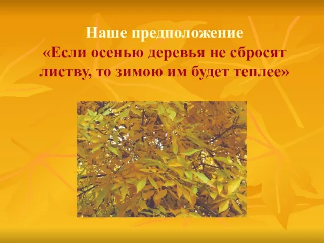 Наше предположение «Если осенью деревья не сбросят листву, то зимою им будет теплее»