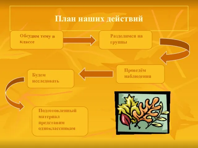 План наших действий Обсудим тему в классе Разделимся на группы Проведём наблюдения