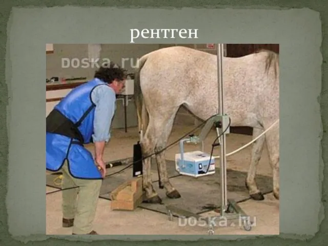 рентген