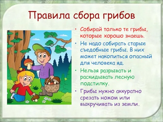 Правила сбора грибов Собирай только те грибы, которые хорошо знаешь. Не надо