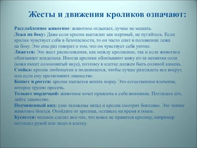 Жесты и движения кроликов означают: Расслабленное животное: животное отдыхает, лучше не мешать.