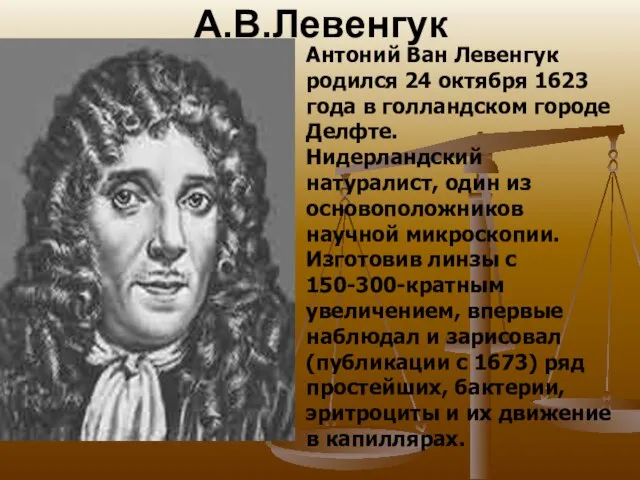 А.В.Левенгук Антоний Ван Левенгук родился 24 октября 1623 года в голландском городе