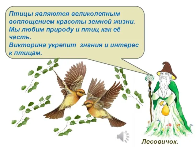 Птицы являются великолепным воплощением красоты земной жизни. Мы любим природу и птиц