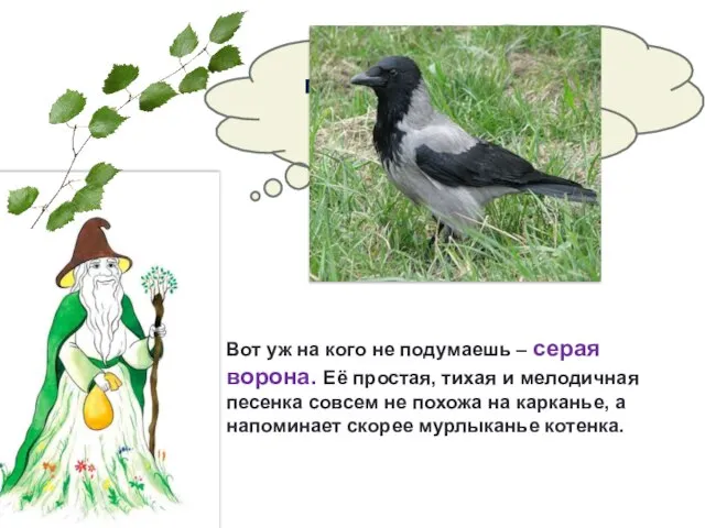 Какая птица своей песней предвещает скорый приход весны? Вот уж на кого
