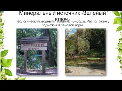 Минеральный источник «Зеленый ключ» Геологический, водный памятник природы. Расположен у подножья Кленовой горы.