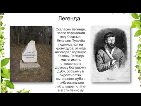 Легенда Согласно легенде, после поражения под Казанью, Емельян Пугачёв поднимался на крону