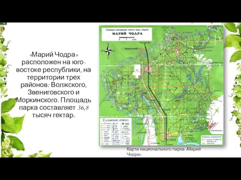 «Марий Чодра» расположен на юго-востоке республики, на территории трех районов: Волжского, Звениговского