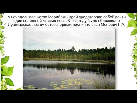 А началось все, когда Марийский край представлял собой почти один сплошной массив