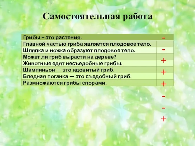 Самостоятельная работа - - + + + - - +