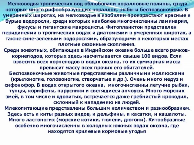 Мелководья тропических вод облюбовали коралловые полипы, среди которых много рифообразующих кораллов, рыбы