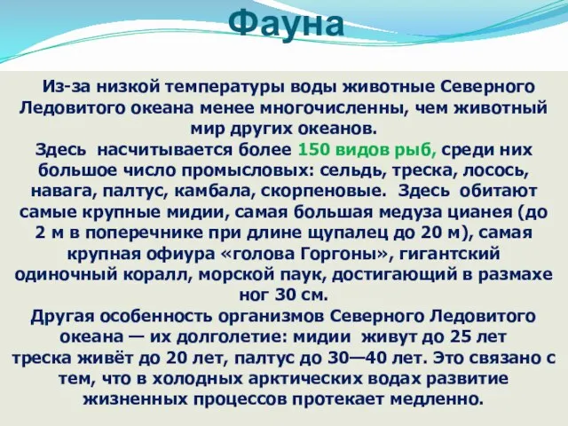 Фауна Из-за низкой температуры воды животные Северного Ледовитого океана менее многочисленны, чем