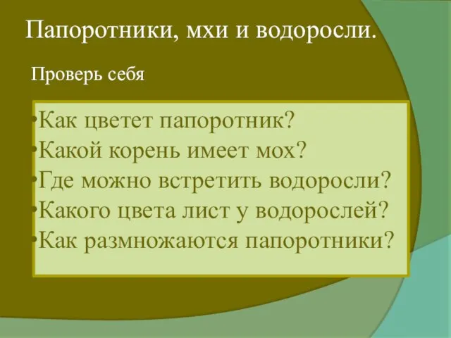 Папоротники, мхи и водоросли. Проверь себя Как цветет папоротник? Какой корень имеет