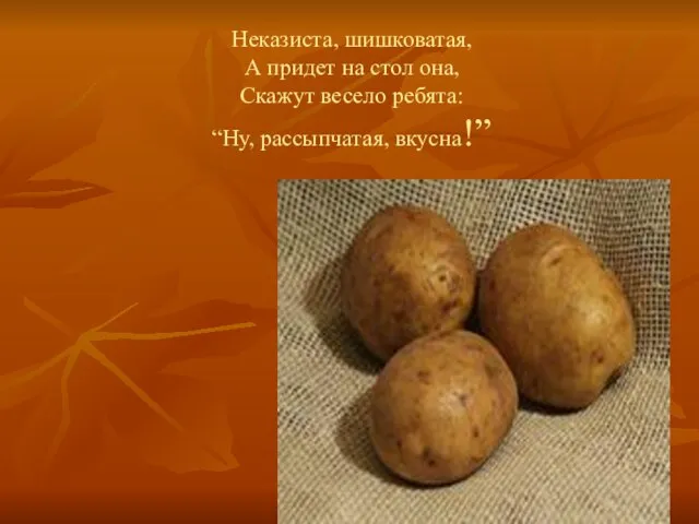 Неказиста, шишковатая, А придет на стол она, Скажут весело ребята: “Ну, рассыпчатая, вкусна!”