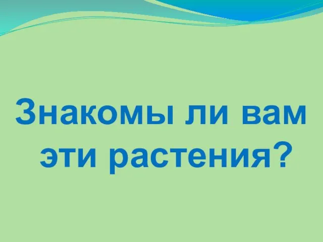 Знакомы ли вам эти растения?