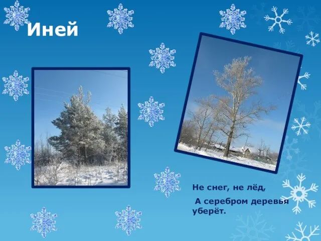 Иней Не снег, не лёд, А серебром деревья уберёт.