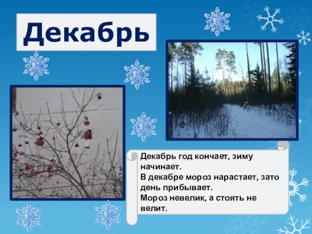 Декабрь Декабрь год кончает, зиму начинает. В декабре мороз нарастает, зато день