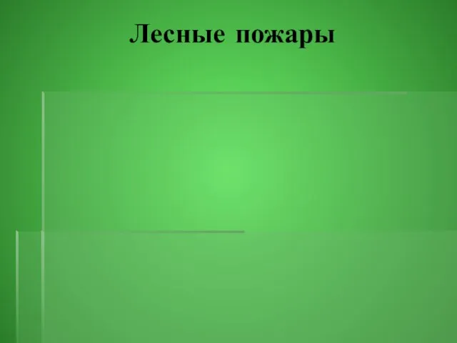 Лесные пожары