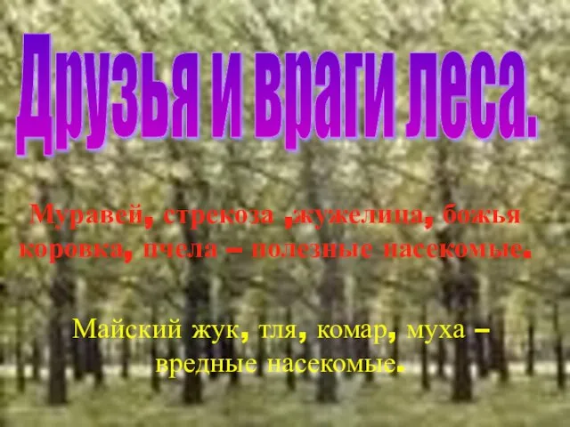 Муравей, стрекоза ,жужелица, божья коровка, пчела – полезные насекомые. Майский жук, тля,