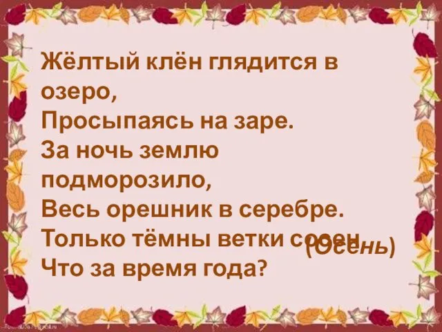 Жёлтый клён глядится в озеро, Просыпаясь на заре. За ночь землю подморозило,