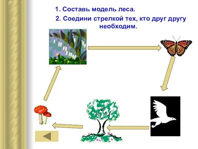 1. Составь модель леса. 2. Соедини стрелкой тех, кто друг другу необходим.