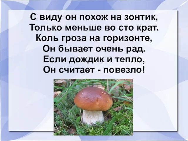 С виду он похож на зонтик, Только меньше во сто крат. Коль