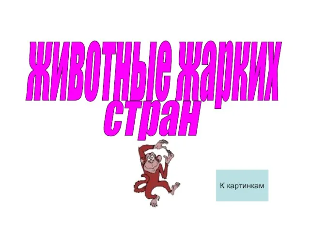 животные жарких стран К картинкам