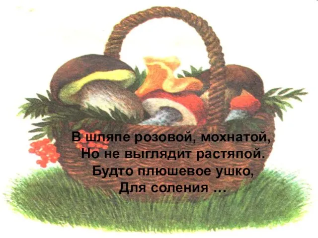 В шляпе розовой, мохнатой, Но не выглядит растяпой. Будто плюшевое ушко, Для соления …