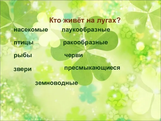 Кто живёт на лугах? насекомые птицы рыбы звери паукообразные ракообразные черви пресмыкающиеся земноводные