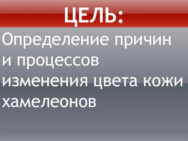 Цель: Определение причин и процессов изменения цвета кожи хамелеонов