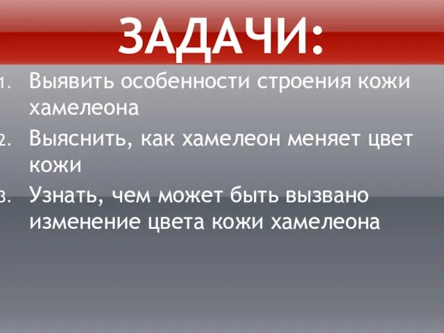 задачи: Выявить особенности строения кожи хамелеона Выяснить, как хамелеон меняет цвет кожи