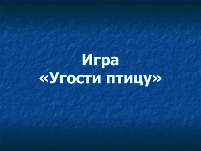 Игра «Угости птицу»