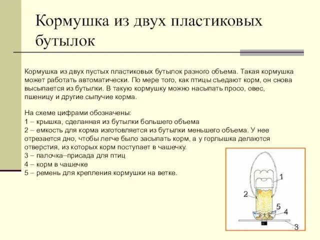 Кормушка из двух пластиковых бутылок Кормушка из двух пустых пластиковых бутылок разного