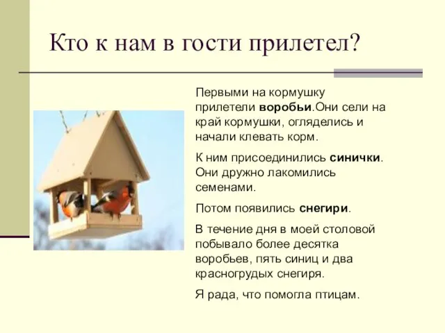 Кто к нам в гости прилетел? Первыми на кормушку прилетели воробьи.Они сели