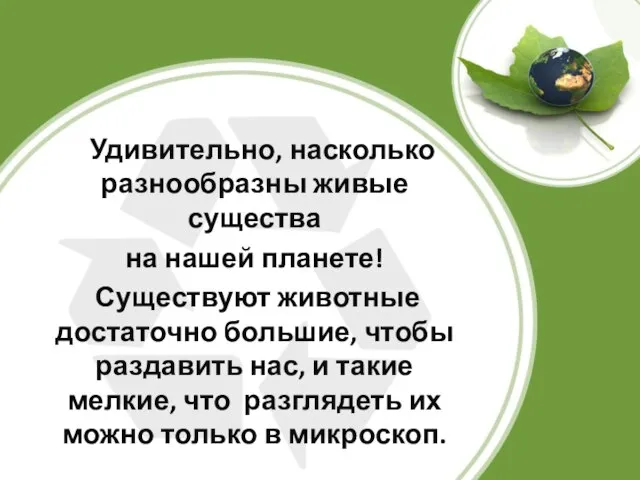 Удивительно, насколько разнообразны живые существа на нашей планете! Существуют животные достаточно большие,