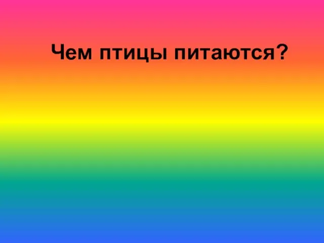 Чем птицы питаются?