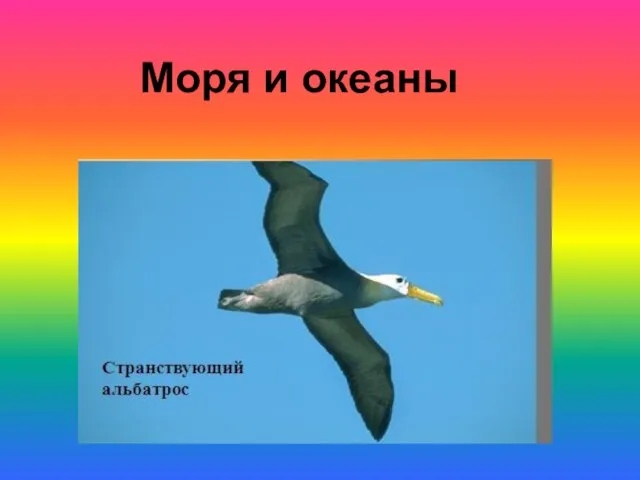 Моря и океаны